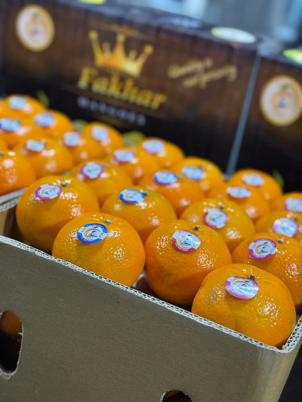 Export quality Oranges- Kinnow - Image 4