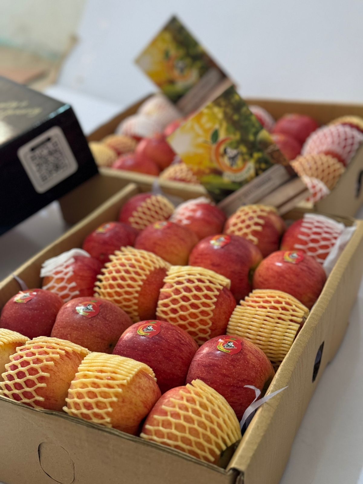 Premium Gaja Apples - Image 2
