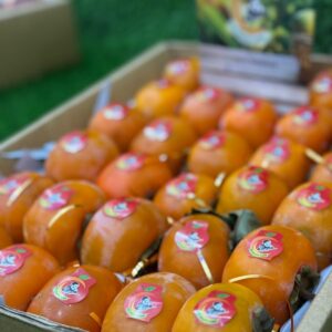 Japani Phal (Persimmon)