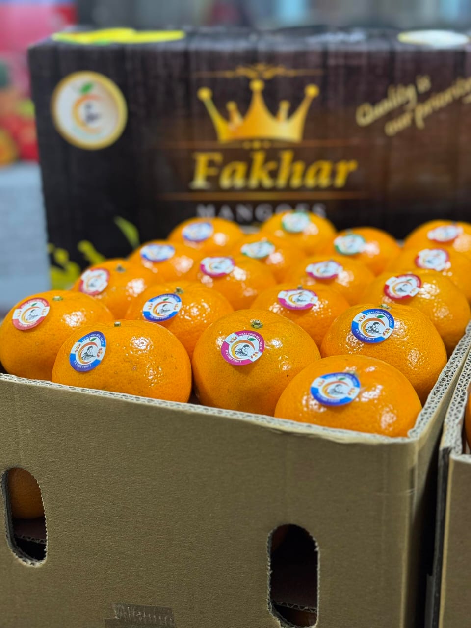 Export quality Oranges- Kinnow