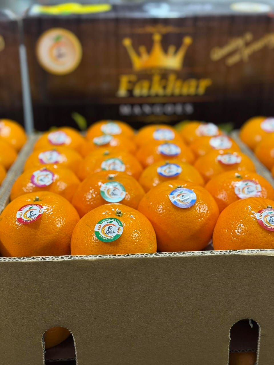 Export quality Oranges- Kinnow - Image 6